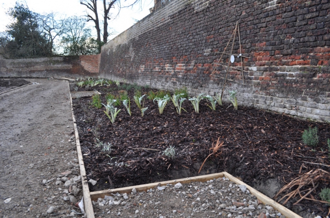Walpole Park: Ongoing work to landscape and restore Walpole Park (aejan14 0034)