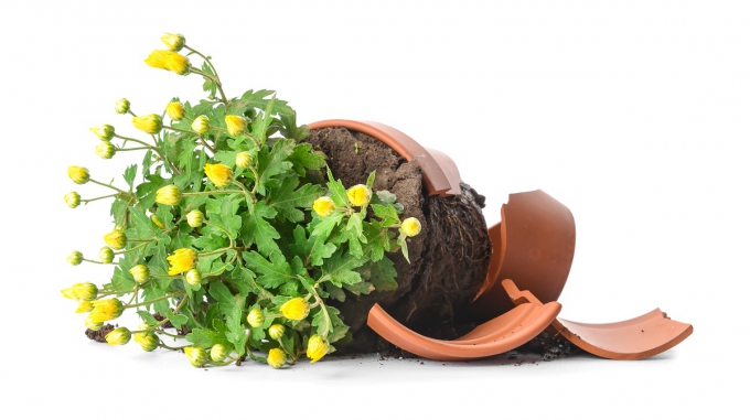 Garden waste